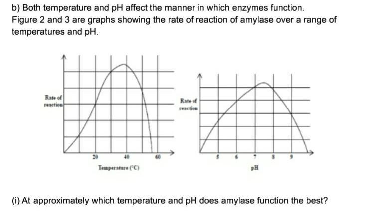 See cause i dont understand this at all​-example-1