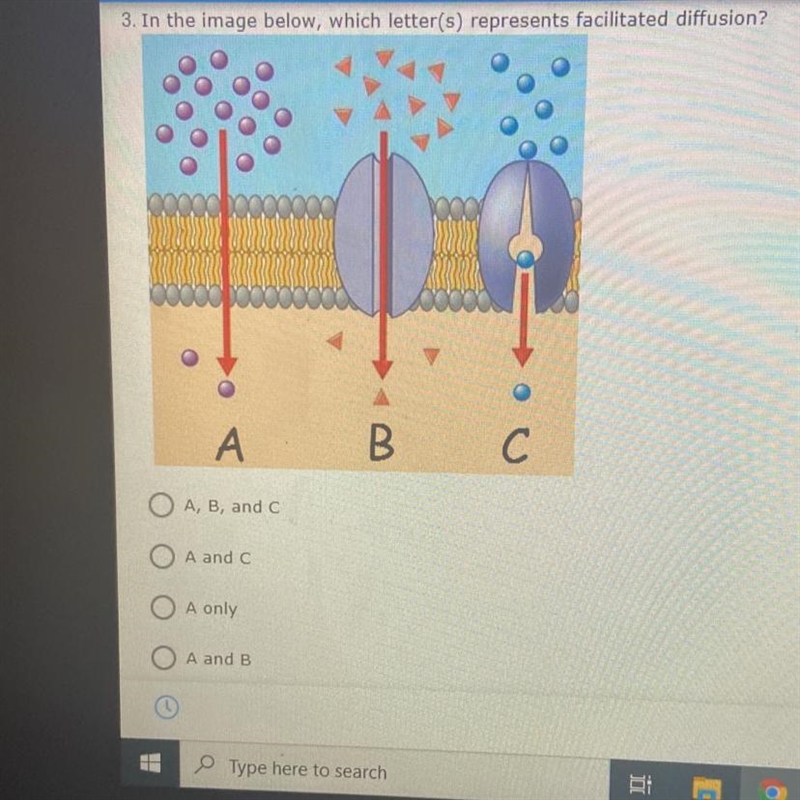 In the image below which letters represent facilitated diffusion?-example-1