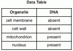 The data table below shows the presence or absence of DNA in four different cell organelles-example-1