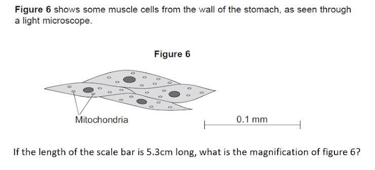 Ok i need this answered quick please-example-1