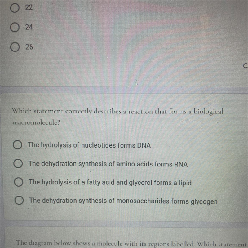 Which statement correctly describes a reaction that forms a biological macromolecule-example-1