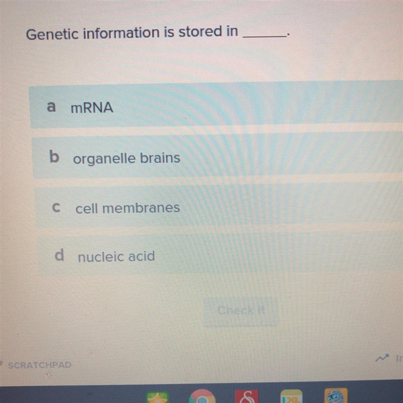 Genetic information is stored in ____ .-example-1