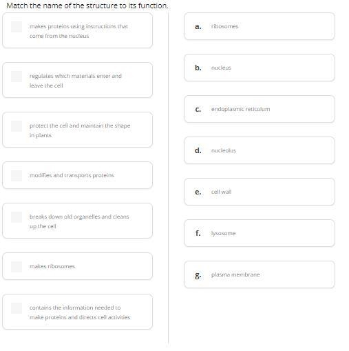 Match the name of the structure to its function.-example-1
