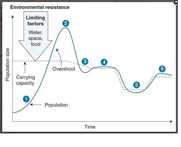 At what point is the population at the carrying capacity? a 1 b 2 c 3 d 4-example-1