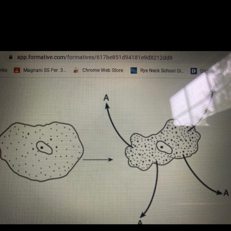 Identify substance a-example-1