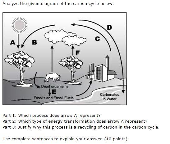 PLEASE HELP ASAP!!! thx! Part 1: Which process does arrow A represent? Part 2: Which-example-1