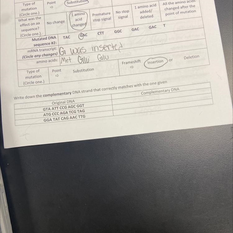 Write down the complementary DNA strand that correctly matches with the one Original-example-1