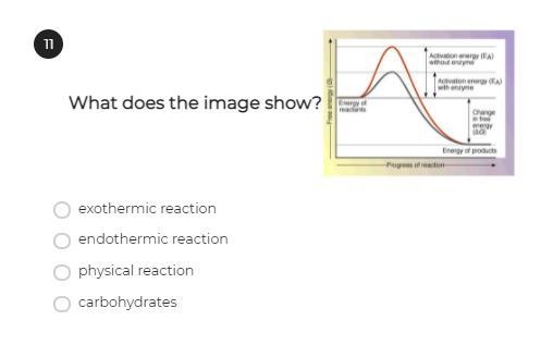 11 bio need help!! ------example-1