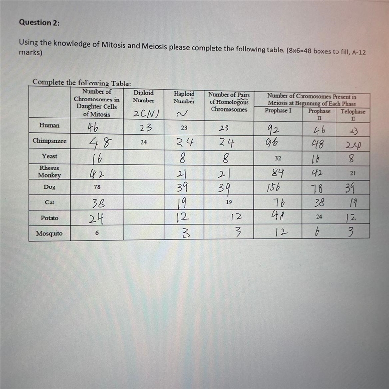 Why the Chimpanzee's diploid number is 24 instead of 48. I am not sure if the following-example-1