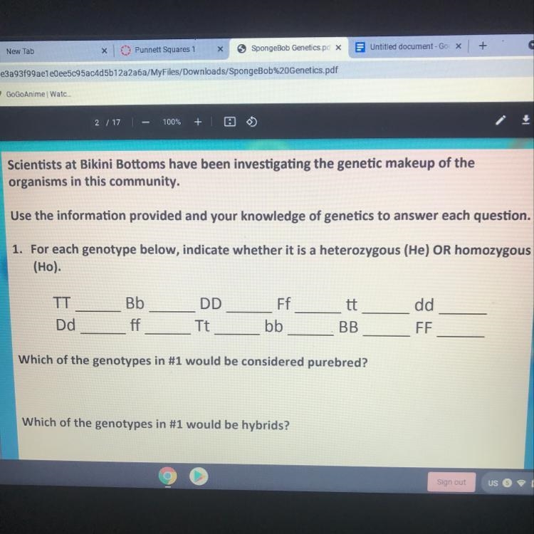 Need help with genotypes-example-1