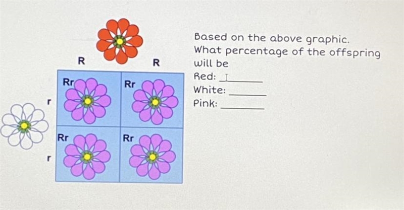 PLS HELP!!?!?? (ᗒᗣᗕ)՞-example-1