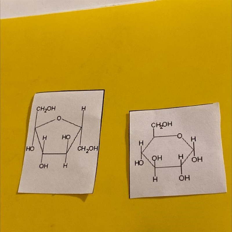 What macromolecules are these??-example-1