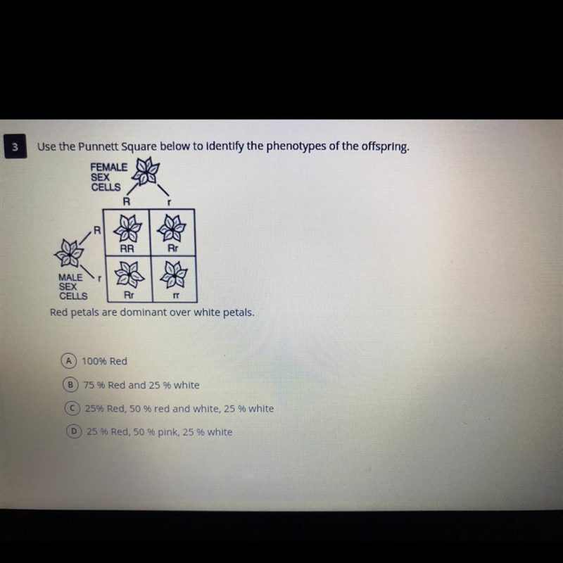 A B C D HELP PLEASE!!-example-1