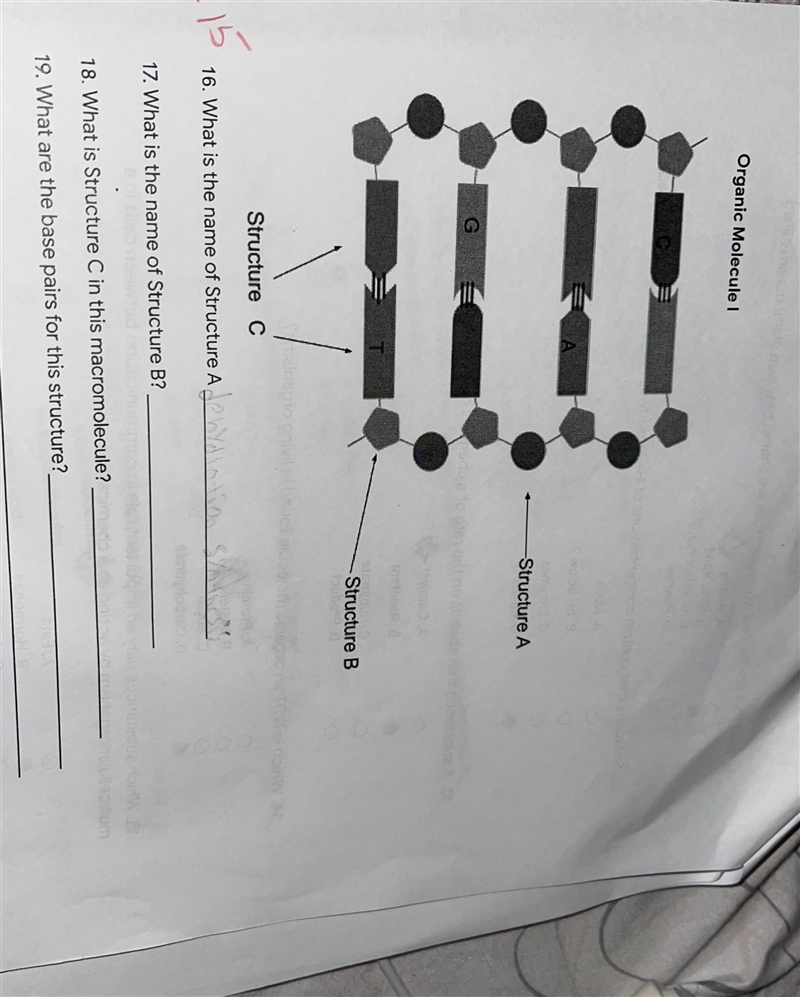 I don’t know the name of the structures can someone please help?-example-1