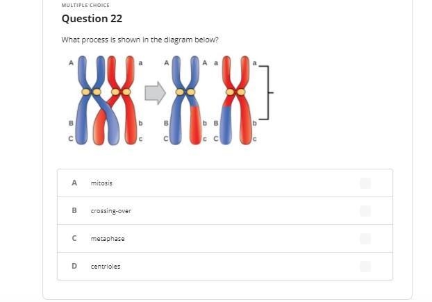 Biology (multiple choice)-example-1