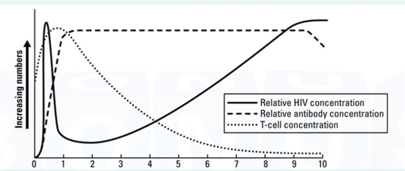 1. Using the graph, describe the events that occur in the body during the first year-example-1