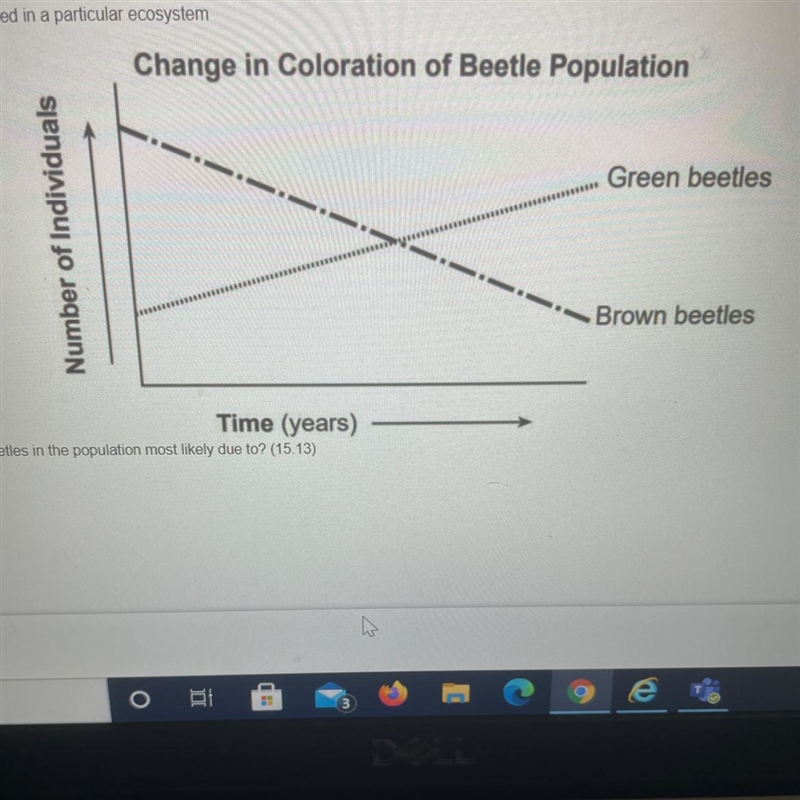 The graph below represents the number of brown and green beetles collected in a particular-example-1