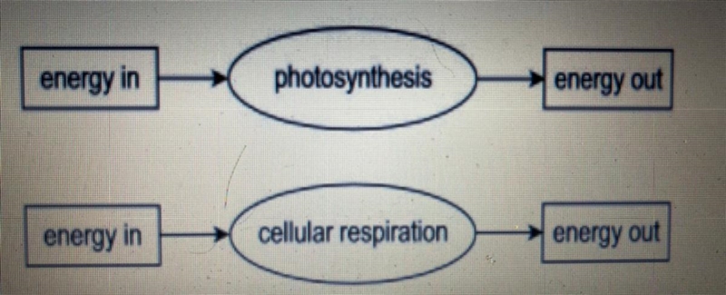 NEED ANSWER ASAP!!!! Write a short answer below describing each energy transformation-example-1