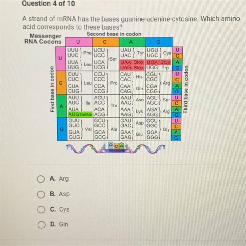 A strand of mRNA has the bases guanine-adenine-cytosine. Which amino acid corresponds-example-1