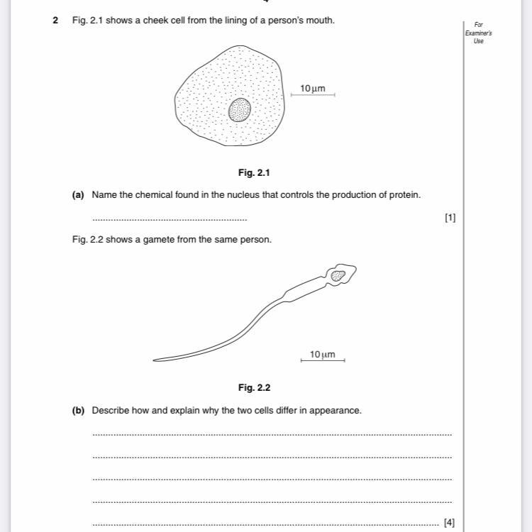 Help with b please!!-example-1