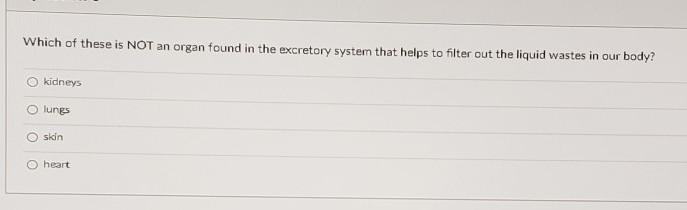 Which of these is NOT an organ found in the excretory system that helps to filter-example-1