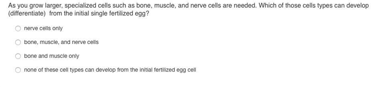 What's the answer plsss-example-1