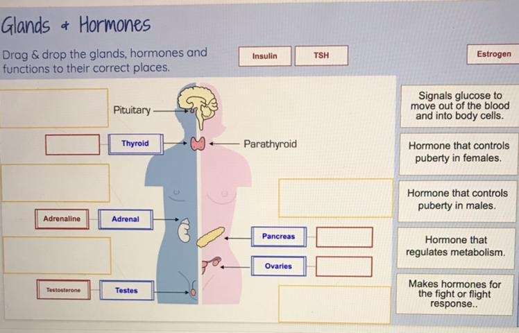 Pleas help if these are correct and what are the rest (Sorry if it’s inappropriate-example-1