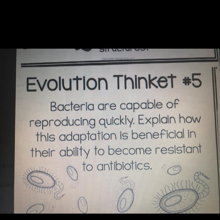 Bacteria are capable of reproducing quickly. Explain how this adaptation is beneficial-example-1