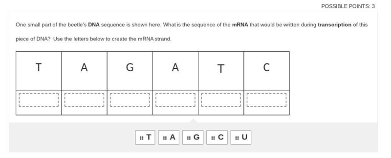 What is the sequence of the mRNA that would be written during transcription of this-example-1