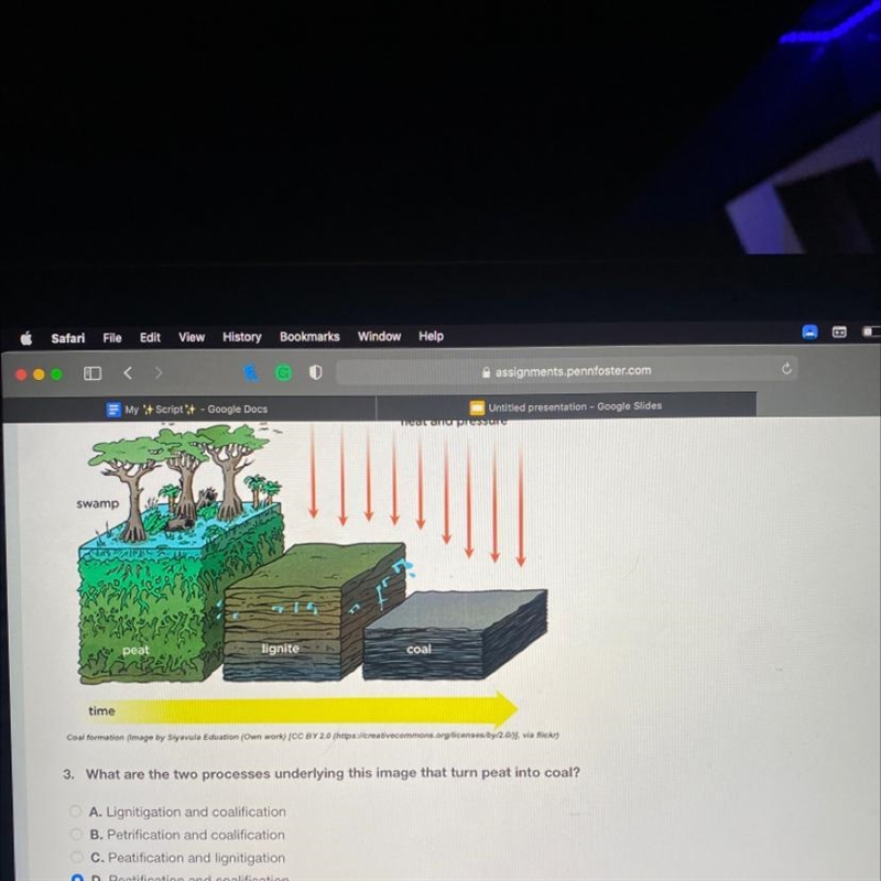 3. What are the two processes underlying this image that turn peat into coal? A. Lignitigation-example-1