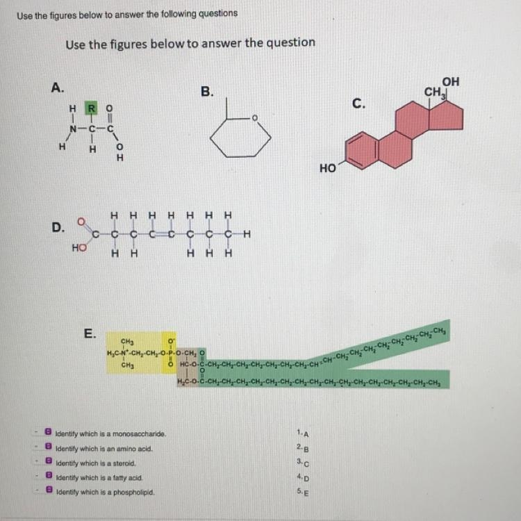 Can i have some help on this question as well? thank you so much-example-1