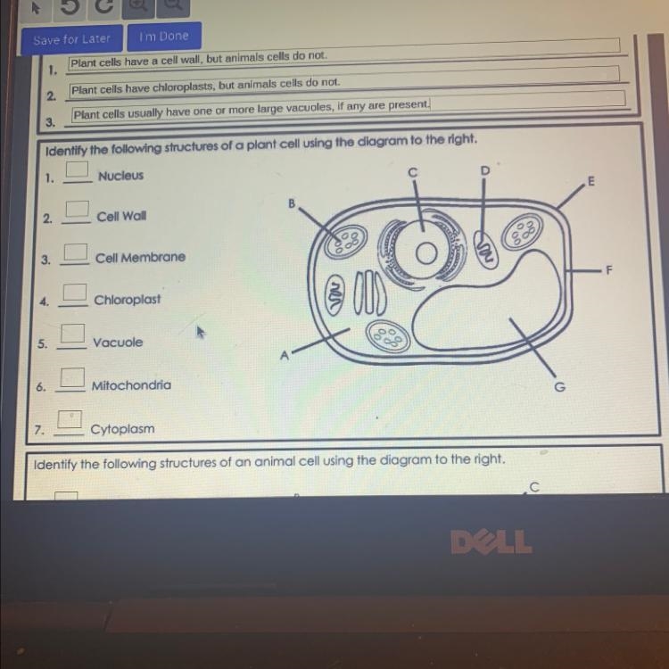 Identify the following structures of a plant cell using the diagram to the right. 1. D-example-1