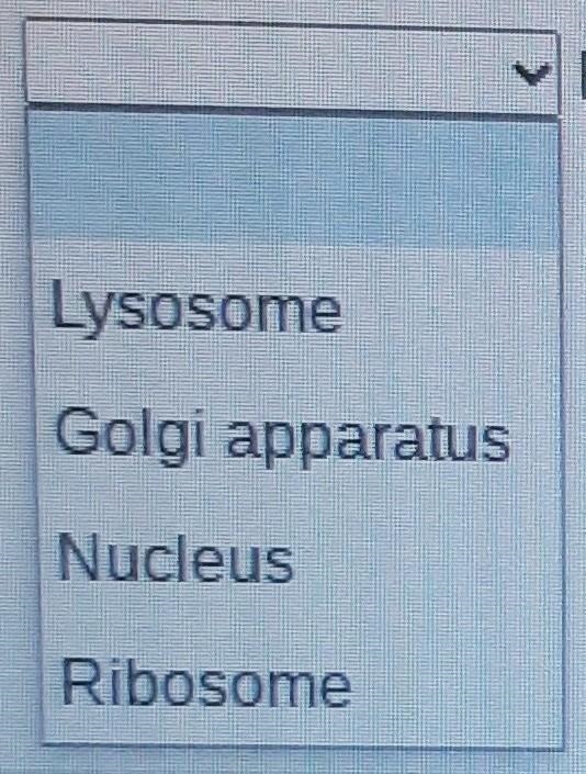 Which one produces proteins?​-example-1