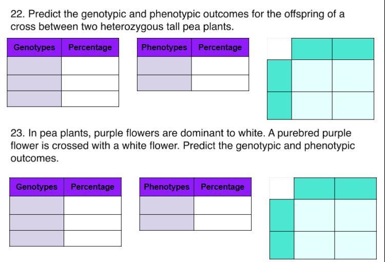 Pls help, due today, would be really appreciated.-example-1