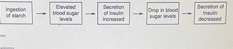 What is represented by the sequence below? an immune response by cells of the pancreas-example-1