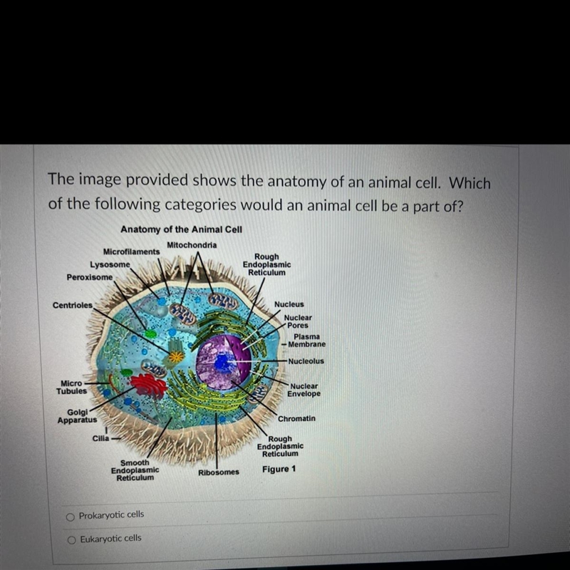 Anyone wanna helppppp??-example-1