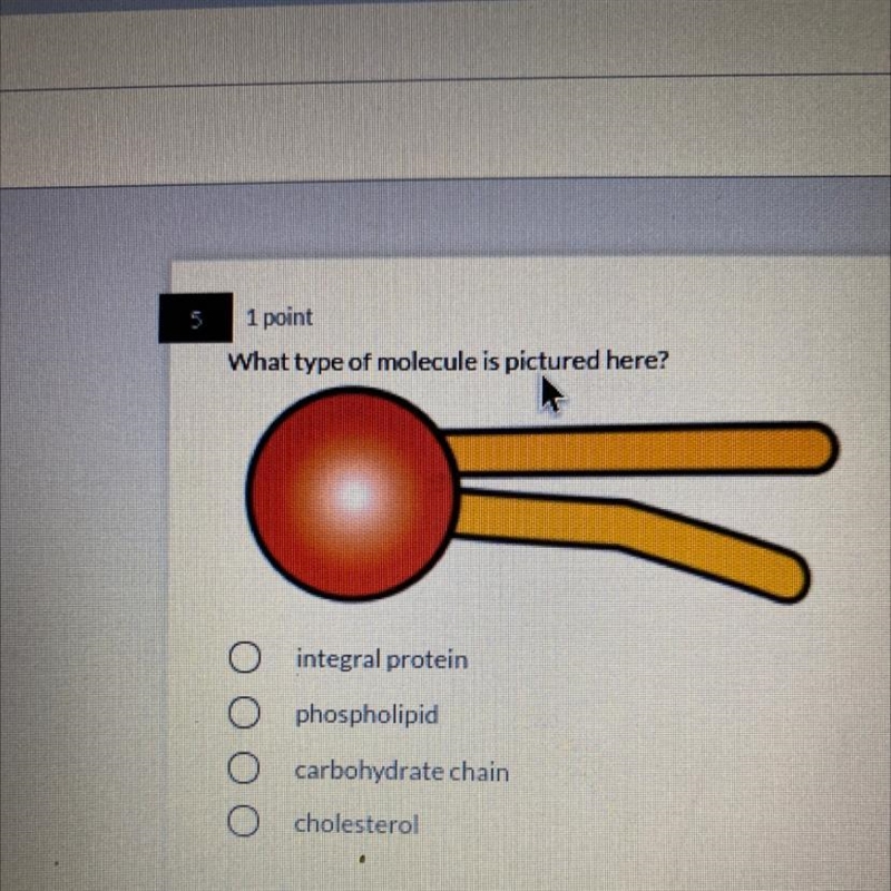 Can you please help me with this-example-1