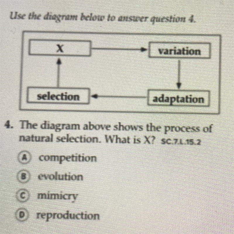 The diagram above shows the process of natural selection. What is X? A competition-example-1