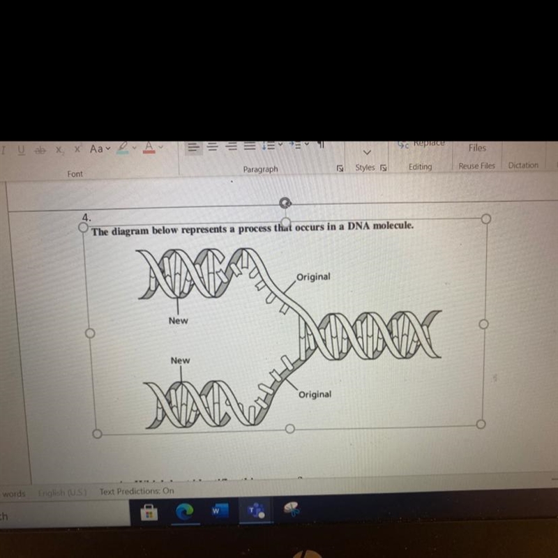 4. Which best identifies this process? A replication B mutation C translation D transcription-example-1