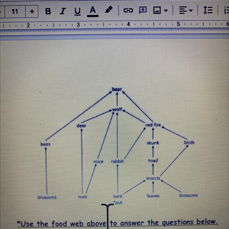 PLEASE HELPPP ASAP!!! 1. List all of the omnivores in this food web 2. List all the-example-1