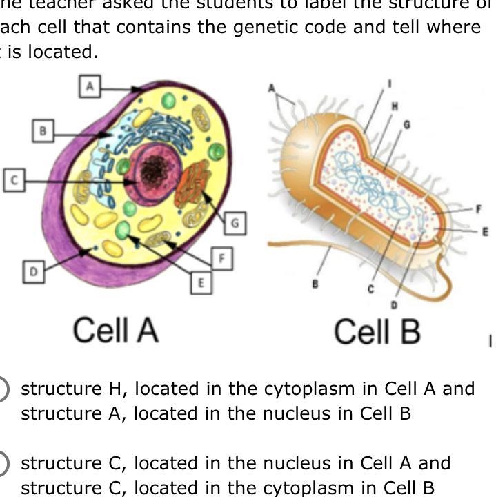 7. A teacher presented the two models below to the class. The models represent a eukaryote-example-1