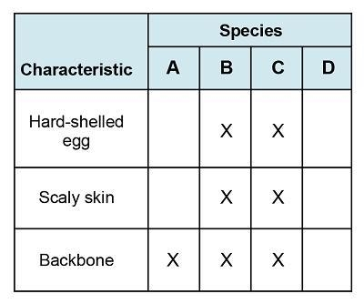 The chart shows shared characteristics of three different species. Which organisms-example-1