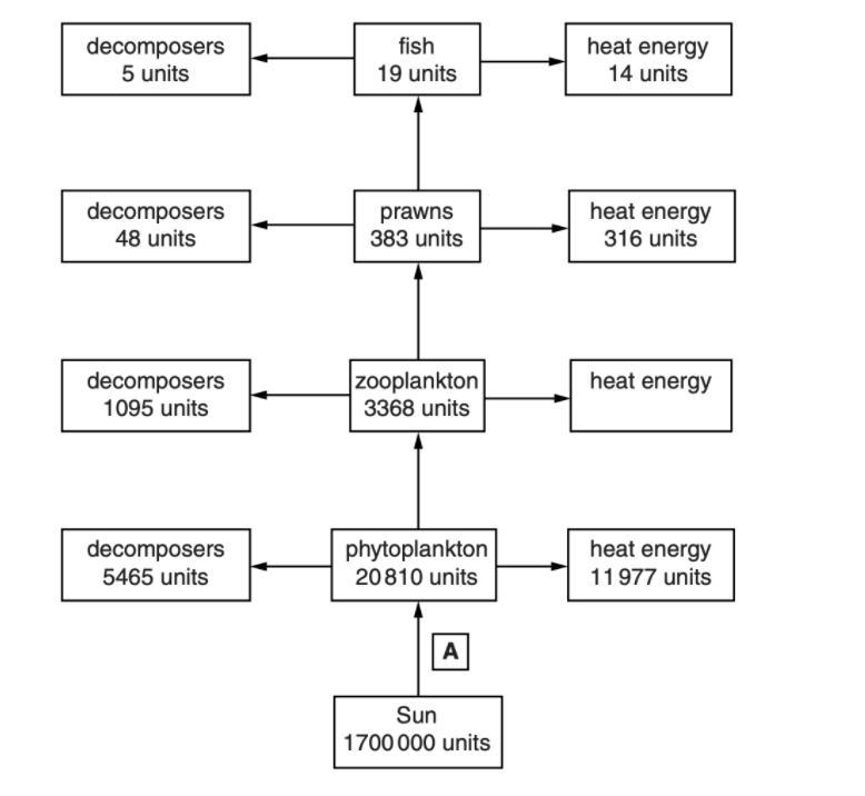 Calculate the heat energy lost by the zooplankton-example-1