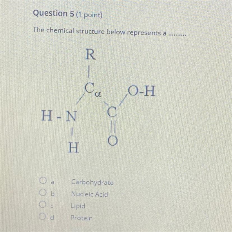 The chemical structure below represents a ....... carbohydrate nucleic acid lipid-example-1