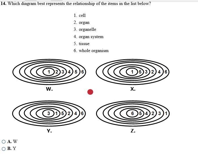 I NEED HELP AS QUICK AS POSSIBLE!!!-example-1