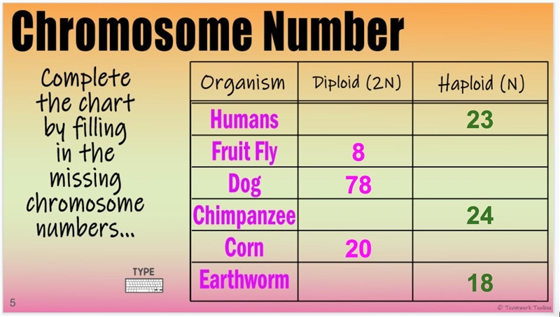 Can someone help me with this chromosome assignment?-example-2