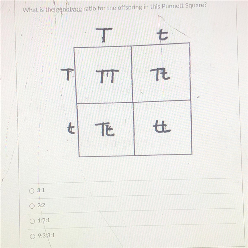 What is the genotype ratio for the offspring in this Punnett Square? help-example-1