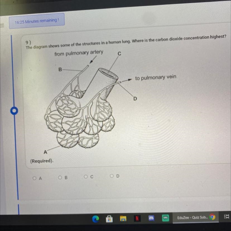 Heeeelp plz i need the answer plz asap!!-example-1