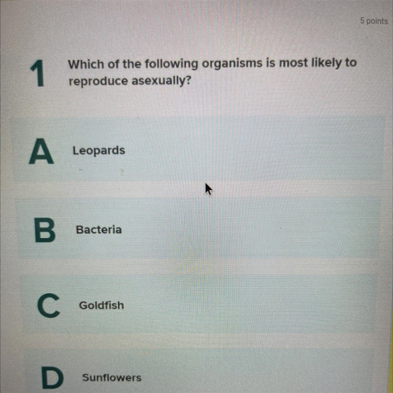 1 Which of the following organisms is most likely to reproduce asexually? A Leopards-example-1