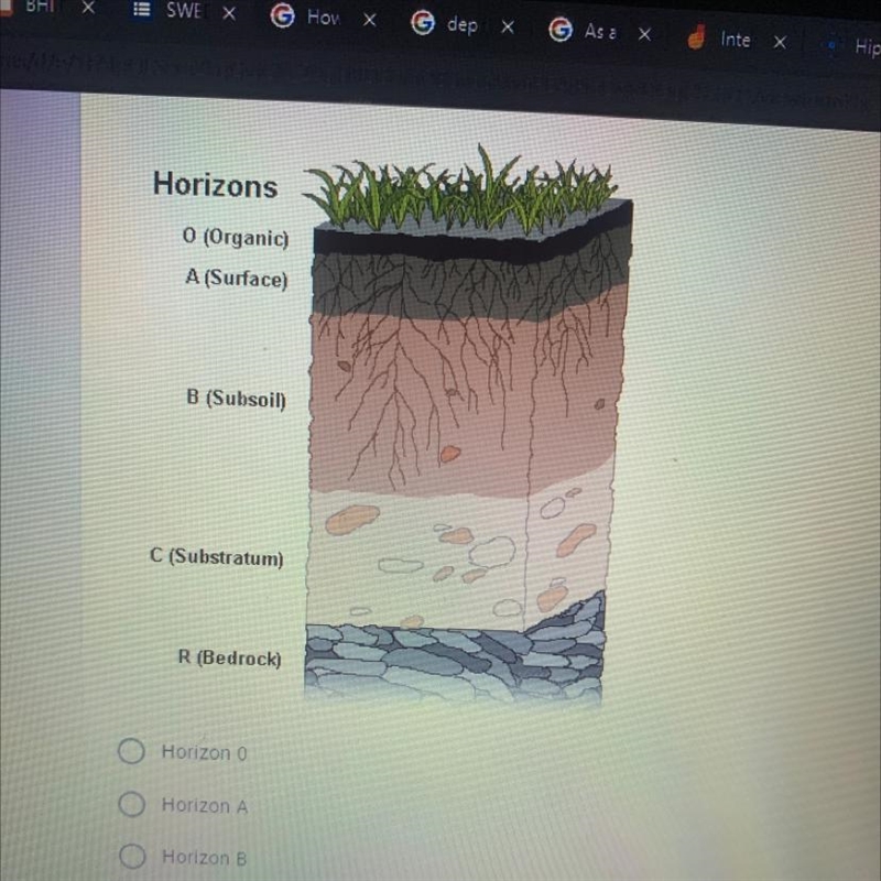 The richest layer of soil would be found at Horizon 0 Horizon A Horizon B Horizon-example-1